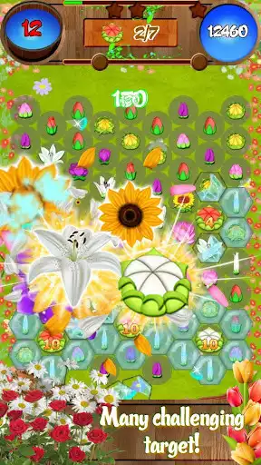 Play Flower Blast