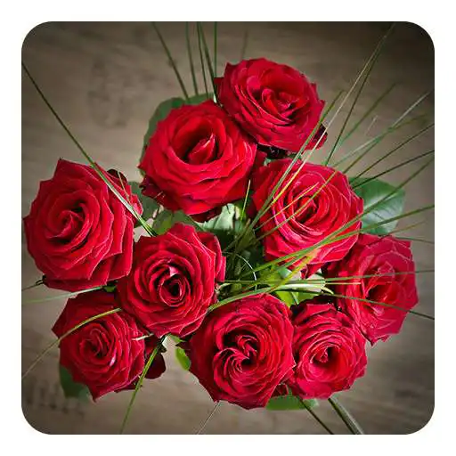 Run free android online Flower Bouquets Live Wallpaper APK
