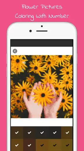 Play Flower Coloring With Number as an online game Flower Coloring With Number with UptoPlay
