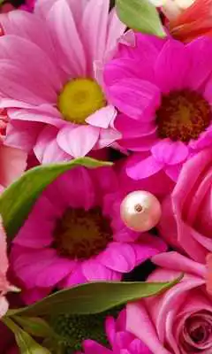 Play Flower Compositions Wallpapers Play Flower Compositions Wallpapers