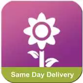 Free play online Flower Delivery Express APK