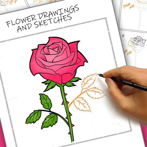 Play Flower Drawings and Sketches APK