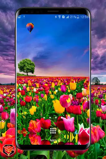 Play Flower Fields Live Wallpaper  and enjoy Flower Fields Live Wallpaper with UptoPlay