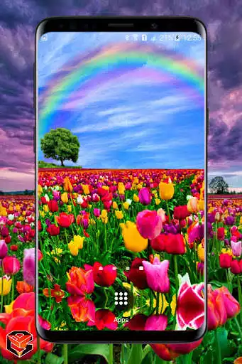 Play Flower Fields Live Wallpaper as an online game Flower Fields Live Wallpaper with UptoPlay