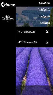Play Flower Field Weather Widget Play Flower Field Weather Widget