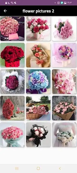 Play flower _ flower picture as an online game online flower _ flower picture with UptoPlay Play flower _ flower picture as an online game flower _ flower picture with UptoPlay