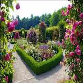 Free play online Flower Garden Design APK Free play online Flower Garden Design APK