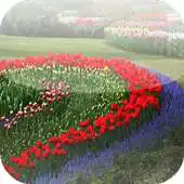 Free play online Flower garden design ideas APK