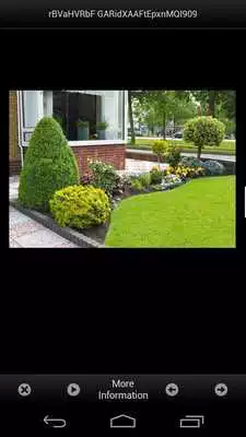 Play Flower garden design ideas