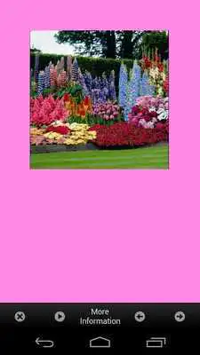 Play Flower Garden Plants Ideas