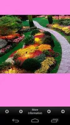 Play Flower Garden Plants Ideas