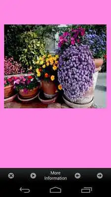 Play Flower Garden Plants Ideas