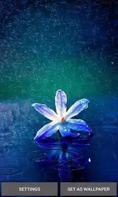 Play Flower In Rain LWP