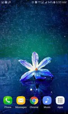 Play Flower In Rain LWP