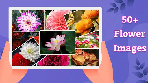 Play Flower Jigsaw Puzzle Play Flower Jigsaw Puzzle