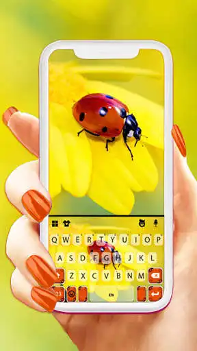Play Flower Ladybug Keyboard Background  and enjoy Flower Ladybug Keyboard Background with UptoPlay