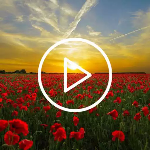 Free play online Flower Live Wallpaper APK Free play online Flower Live Wallpaper APK