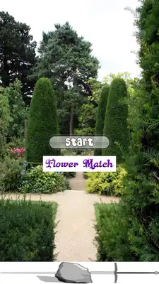 Play Flower Match Free Play Flower Match Free