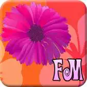 Free play online Flower Matching Game APK