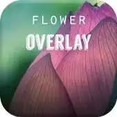 Free play online Flower Overlay APK Free play online Flower Overlay APK