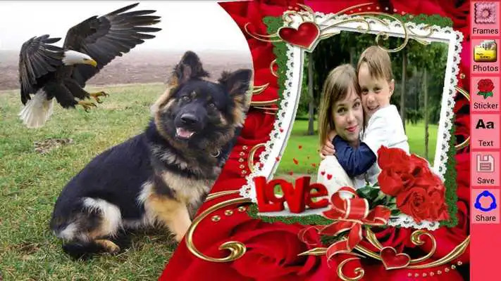 Play Flower Photo Frames/ Birds, Butterfly, Cat and Dog