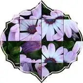 Free play online Flower Photo Puzzle APK