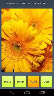 Play Flower Photo Puzzle