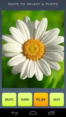 Play Flower Photo Puzzle