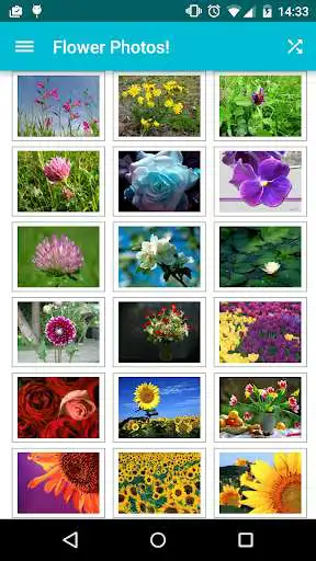 Play Flower Photos!