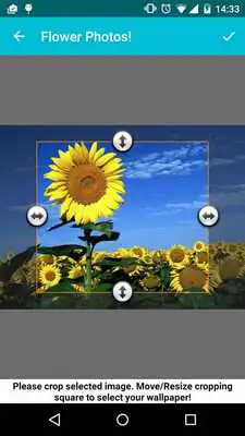 Play Flower Photos!