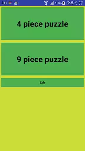 Play Flower Puzzle