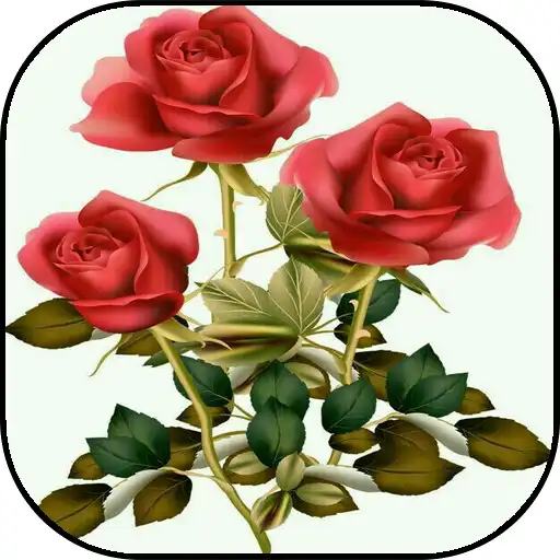 Play Flower Rose Animated Image Gif APK