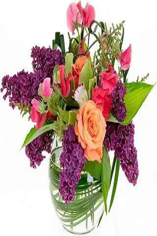 Play Flowers 2  and enjoy Flowers 2 with UptoPlay