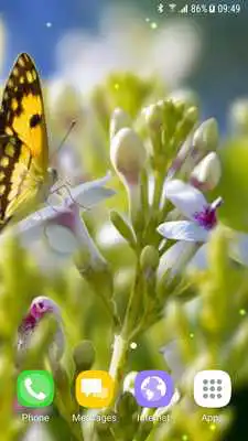 Play Flowers 3D Parallax Background