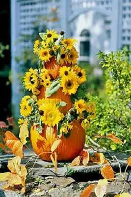 Play Flowers 7