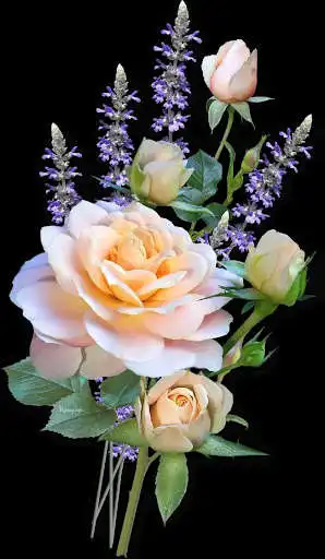 Play Flowers And Roses GIF HD and enjoy Flowers And Roses GIF HD with UptoPlay Play Flowers And Roses GIF HD and enjoy Flowers And Roses GIF HD with UptoPlay