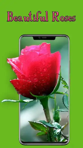 Play flowers Background Hd  and enjoy flowers Background Hd with UptoPlay