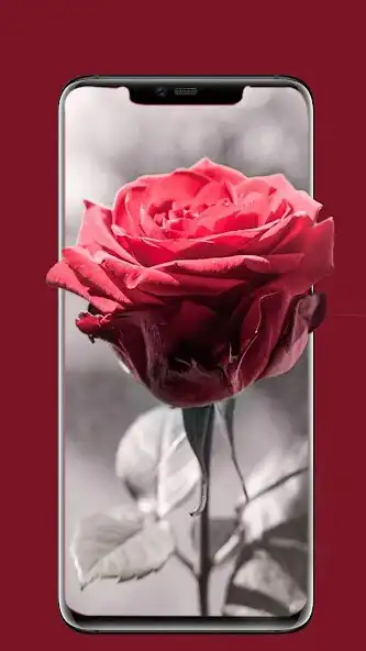 Play flowers Background Hd as an online game flowers Background Hd with UptoPlay
