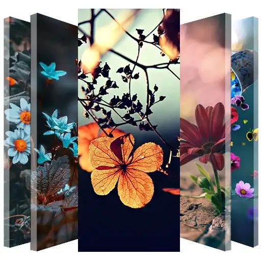 Play Flowers Cinematic Wallpapers APK Play Flowers Cinematic Wallpapers APK