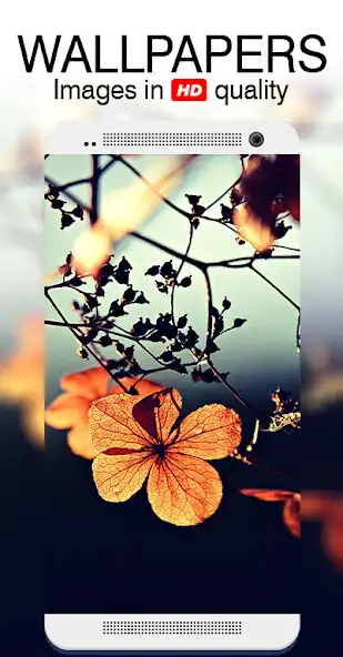 Play Flowers Cinematic Wallpapers  and enjoy Flowers Cinematic Wallpapers with UptoPlay