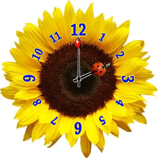 Free play online Flowers Clock Widget  APK