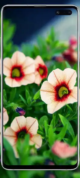 Play Flowers cute wallpaper as an online game Flowers cute wallpaper with UptoPlay