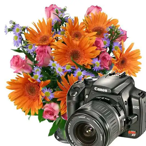 Play Flowers Frames Camera APK