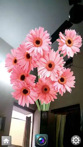 Play Flowers Frames Camera  and enjoy Flowers Frames Camera with UptoPlay