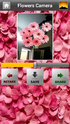 Play Flowers Frames Camera as an online game Flowers Frames Camera with UptoPlay