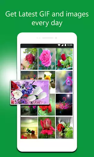Play Flowers Gif Collection  and enjoy Flowers Gif Collection with UptoPlay