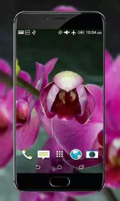 Play Flowers HD Live Wallpaper