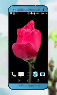 Play Flowers HD Live Wallpaper