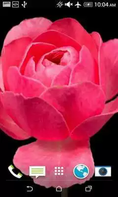 Play Flowers HD Live Wallpaper