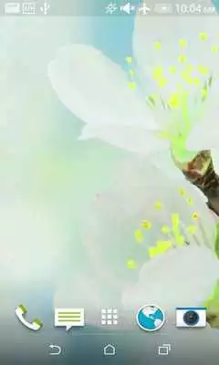 Play Flowers HD Live Wallpaper
